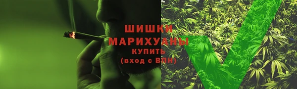 прущая мука Инсар