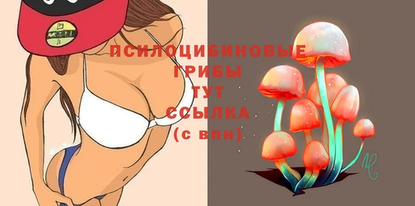MDMA Premium VHQ Инта