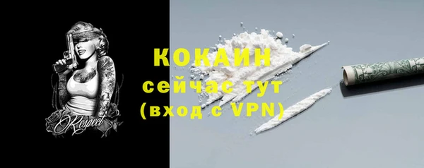 прущая мука Инсар