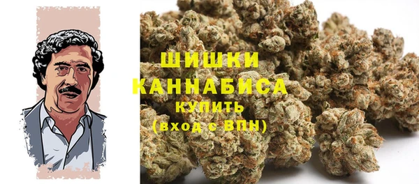 прущая мука Инсар