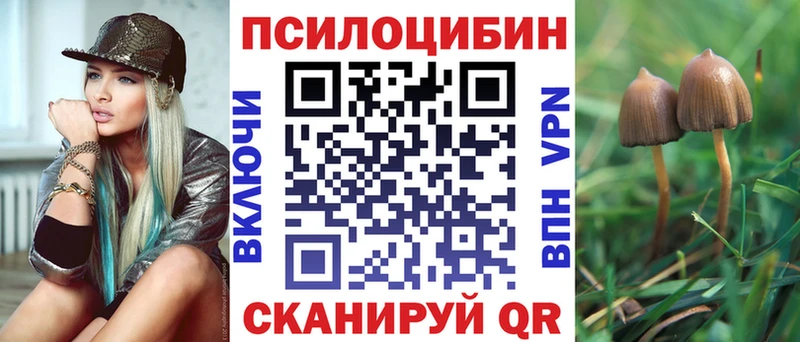 Купить где  Корсаков  Галлюциногенные грибы прущие грибы 